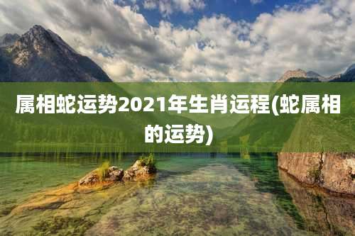 属相蛇运势2021年生肖运程(蛇属相的运势)