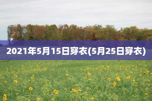 2021年5月15日穿衣(5月25日穿衣)