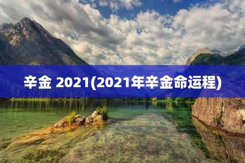 辛金 2021(2021年辛金命运程)