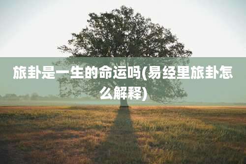 旅卦是一生的命运吗(易经里旅卦怎么解释)