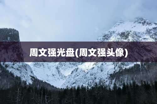 周文强光盘(周文强头像)