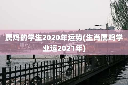 属鸡的学生2020年运势(生肖属鸡学业运2021年)