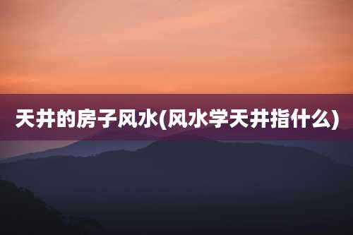 天井的房子风水(风水学天井指什么)