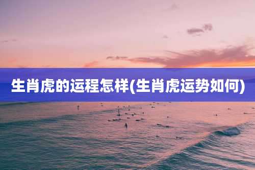 生肖虎的运程怎样(生肖虎运势如何)