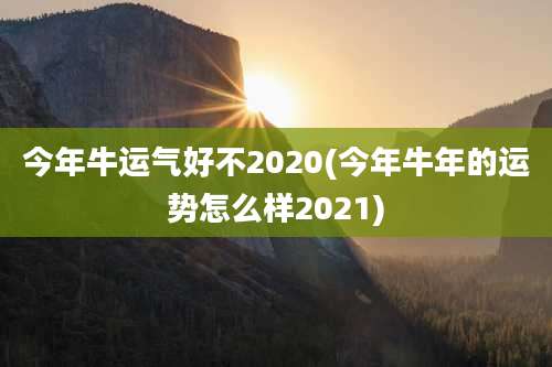 今年牛运气好不2020(今年牛年的运势怎么样2021)