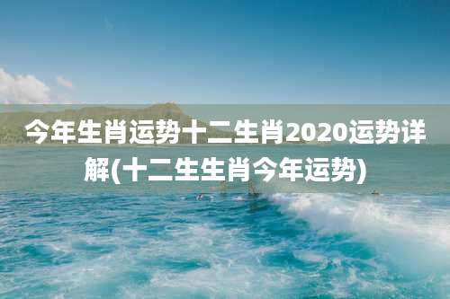 今年生肖运势十二生肖2020运势详解(十二生生肖今年运势)