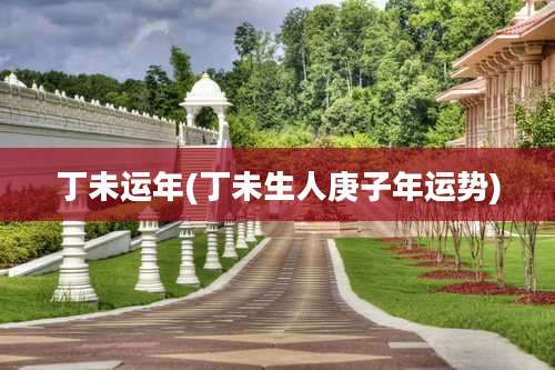 丁未运年(丁未生人庚子年运势)