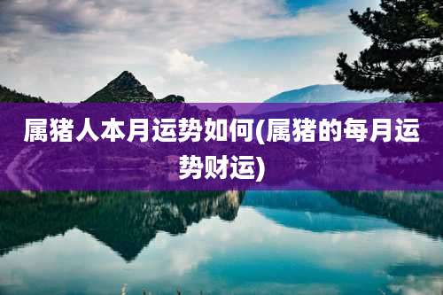 属猪人本月运势如何(属猪的每月运势财运)