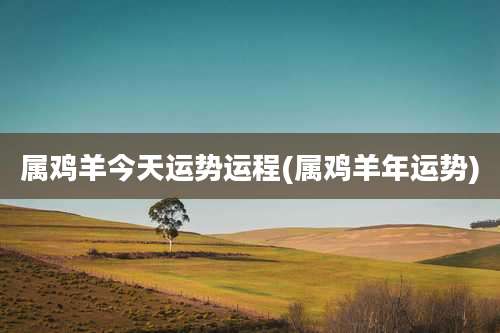 属鸡羊今天运势运程(属鸡羊年运势)