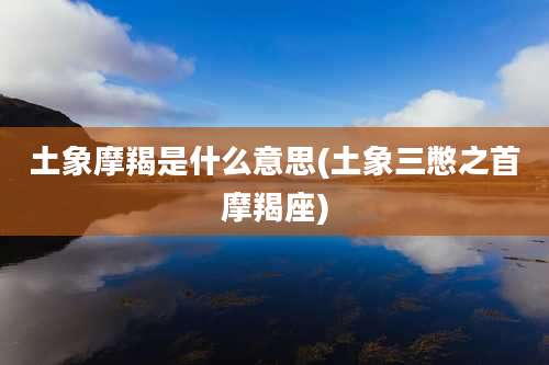 土象摩羯是什么意思(土象三憋之首摩羯座)