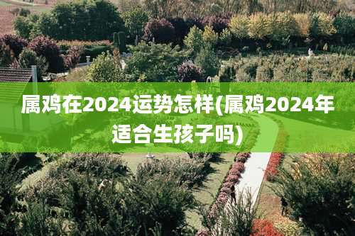 属鸡在2024运势怎样(属鸡2024年适合生孩子吗)