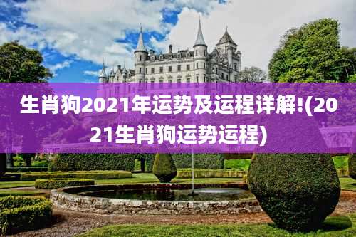 生肖狗2021年运势及运程详解!(2021生肖狗运势运程)