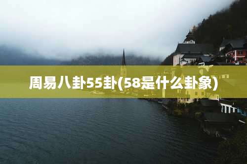周易八卦55卦(58是什么卦象)