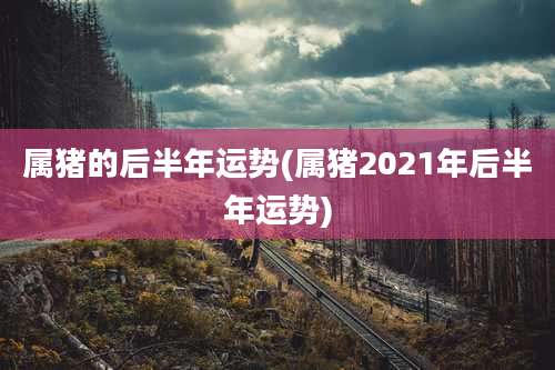 属猪的后半年运势(属猪2021年后半年运势)