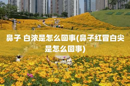 鼻子 白浓是怎么回事(鼻子红冒白尖是怎么回事)