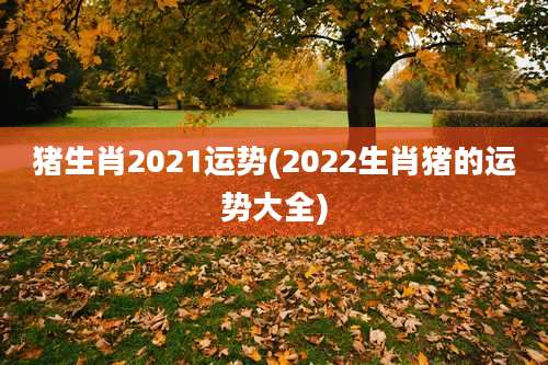 猪生肖2021运势(2022生肖猪的运势大全)