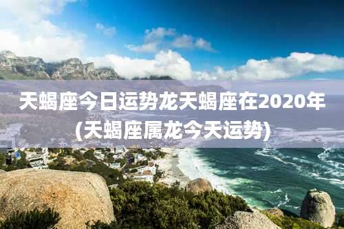 天蝎座今日运势龙天蝎座在2020年(天蝎座属龙今天运势)