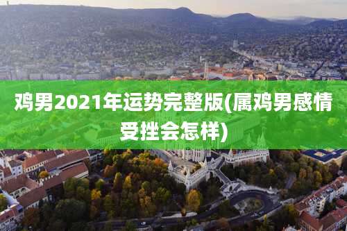 鸡男2021年运势完整版(属鸡男感情受挫会怎样)