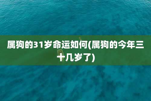 属狗的31岁命运如何(属狗的今年三十几岁了)