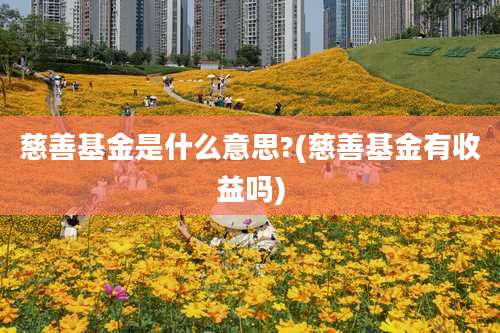 慈善基金是什么意思?(慈善基金有收益吗)