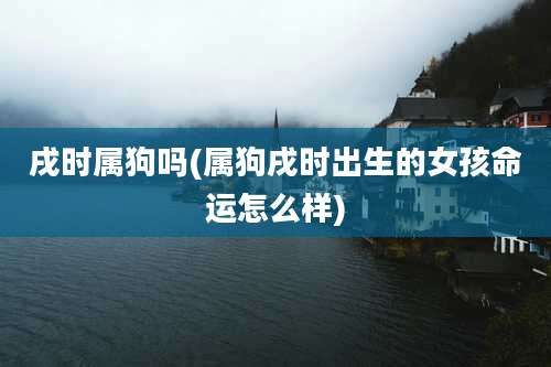 戌时属狗吗(属狗戌时出生的女孩命运怎么样)