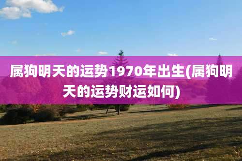 属狗明天的运势1970年出生(属狗明天的运势财运如何)