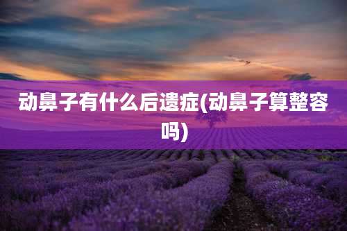 动鼻子有什么后遗症(动鼻子算整容吗)