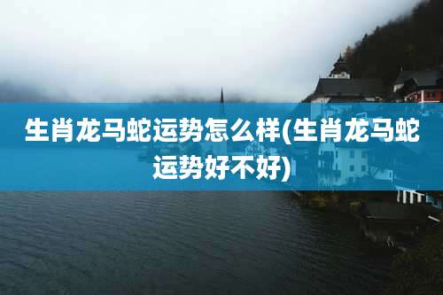 生肖龙马蛇运势怎么样(生肖龙马蛇运势好不好)