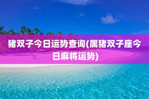 猪双子今日运势查询(属猪双子座今日麻将运势)