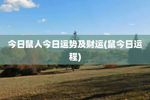今日鼠人今日运势及财运(鼠今日运程)