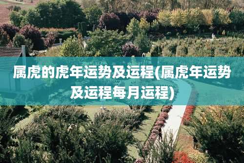 属虎的虎年运势及运程(属虎年运势及运程每月运程)