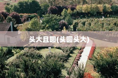 头大且圆(头圆头大)