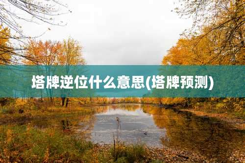 塔牌逆位什么意思(塔牌预测)