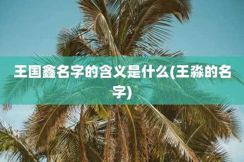 王国鑫名字的含义是什么(王淼的名字)
