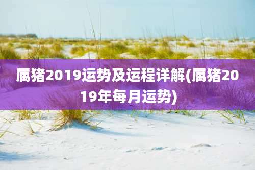 属猪2019运势及运程详解(属猪2019年每月运势)