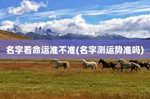名字看命运准不准(名字测运势准吗)