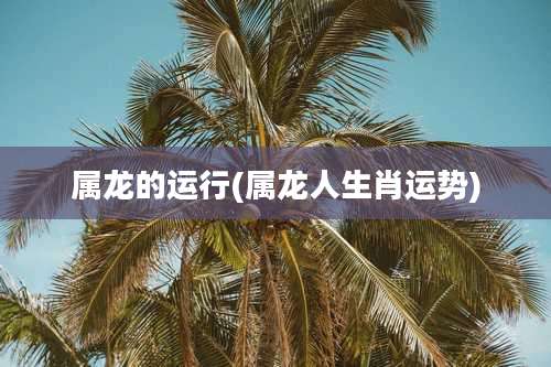 属龙的运行(属龙人生肖运势)