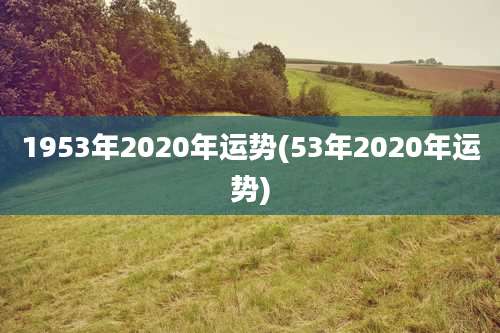 1953年2020年运势(53年2020年运势)