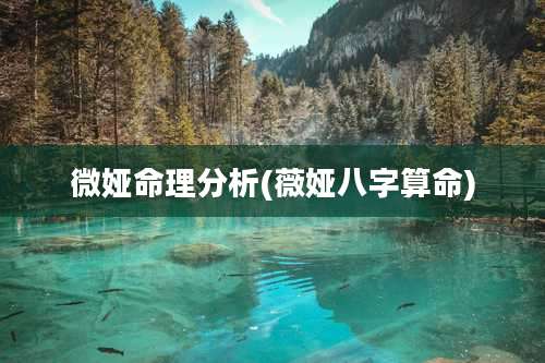 微娅命理分析(薇娅八字算命)