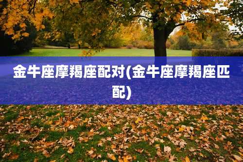 金牛座摩羯座配对(金牛座摩羯座匹配)