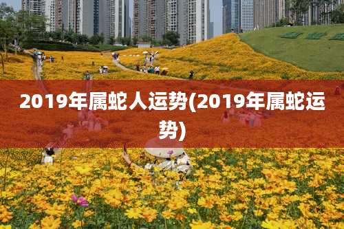 2019年属蛇人运势(2019年属蛇运势)