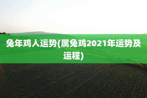 兔年鸡人运势(属兔鸡2021年运势及运程)