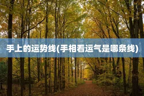 手上的运势线(手相看运气是哪条线)