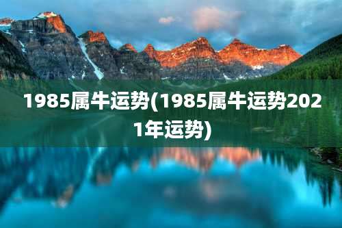 1985属牛运势(1985属牛运势2021年运势)