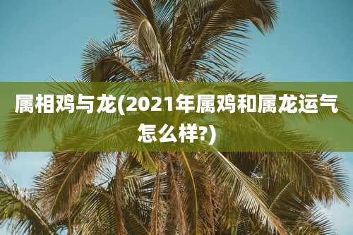 属相鸡与龙(2021年属鸡和属龙运气怎么样?)