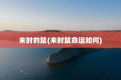 未时的鼠(未时鼠命运如何)