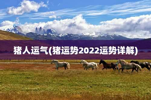 猪人运气(猪运势2022运势详解)