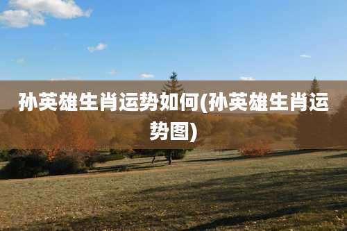 孙英雄生肖运势如何(孙英雄生肖运势图)