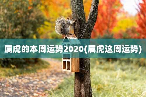 属虎的本周运势2020(属虎这周运势)