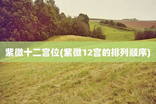 紫微十二宫位(紫微12宫的排列顺序)